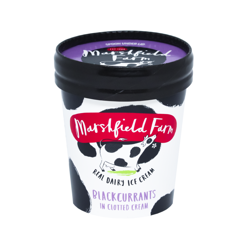 Marshfield Blackcurrant in Clotted Cream Cups 12x125ml