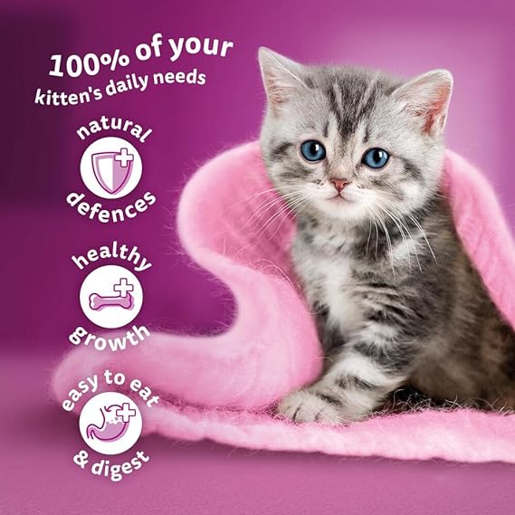 Whiskas Chunks In Jelly Chicken Pouch 28x85g