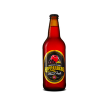 Kopparberg Mixed Fruits 15x500ml