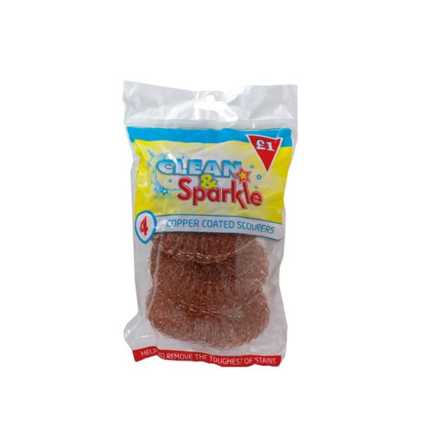 Clean & Sparkle Stainless Steel Scourers s 10x4's