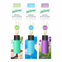 Assorted Fragrance Reed Diffuser 1x30ml