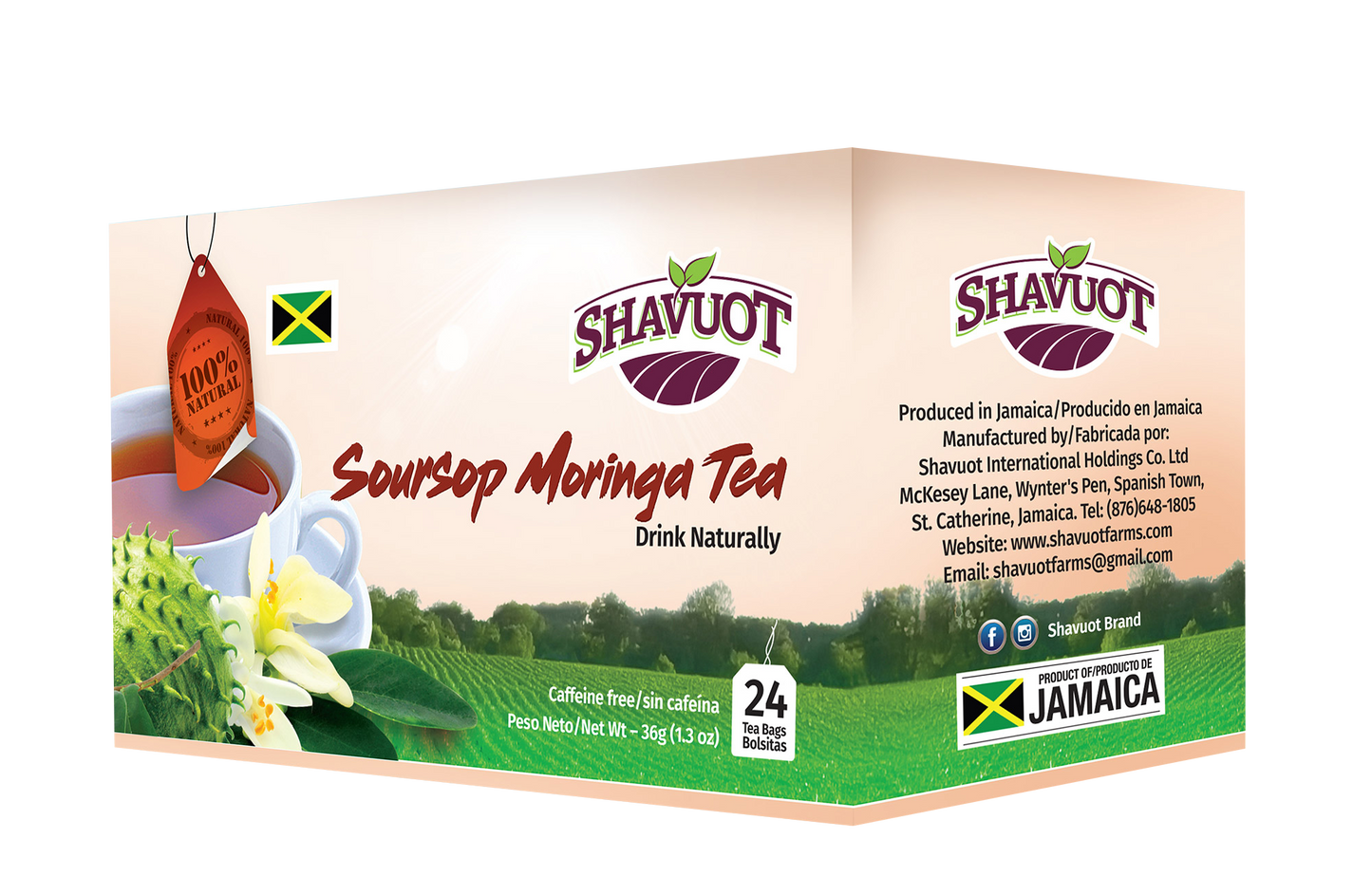 Shavuot Soursop and Moringa 24's Box of 6