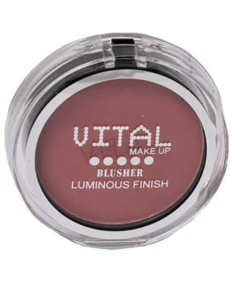 LUMINOUS FINISH BLUSHER 02 RUM PLUM Blush And Highligter Asetena Pa