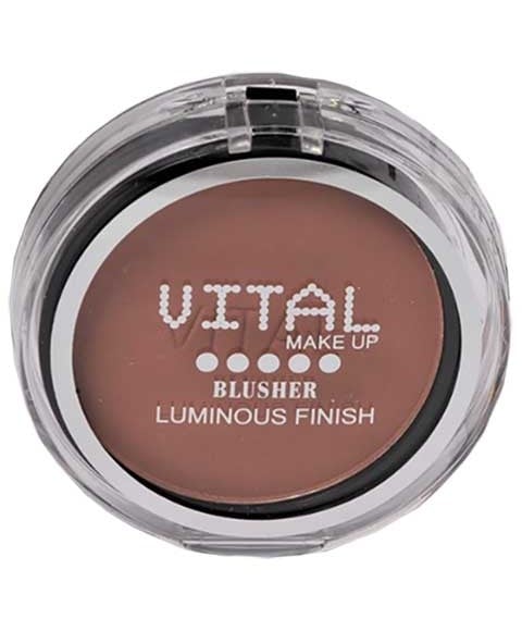 LUMINOUS FINISH BLUSHER 09 DUSKY DESERT Blush And Highligter Asetena Pa
