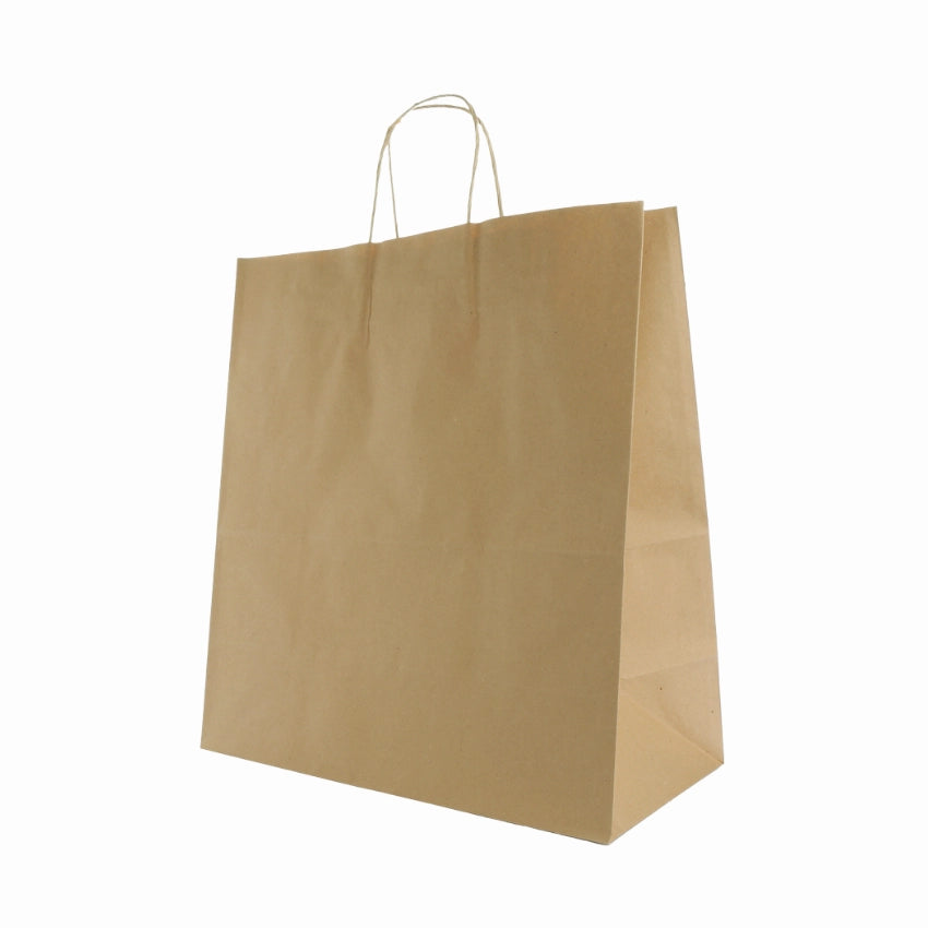 Paper Bags Large 's 1x10's