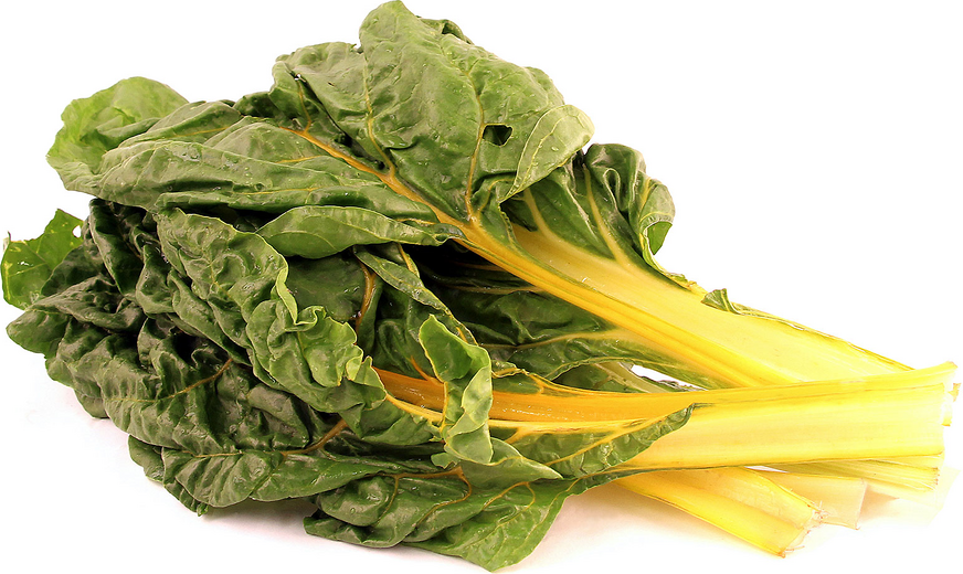 Yellow Swiss Chard