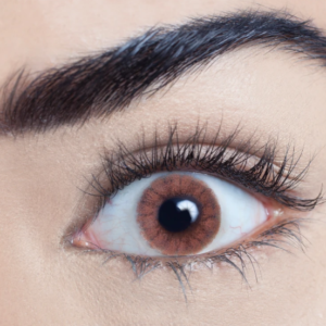 MASMesmerEyez Contact Lense Chocolate Chai + Free Solution-Food