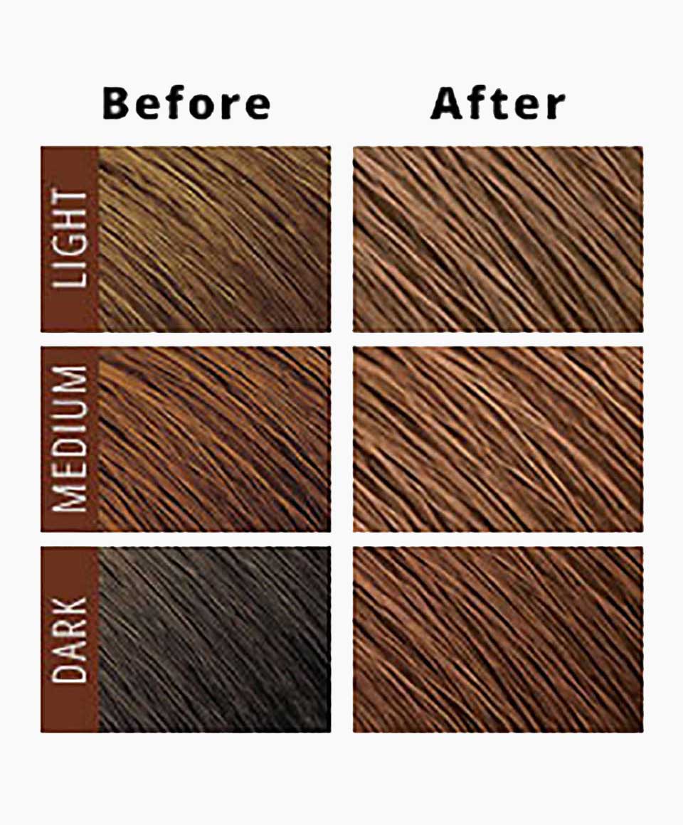 Moisture Rich Hair Color With Shea Butter Conditioner C20 LT Golden Brown