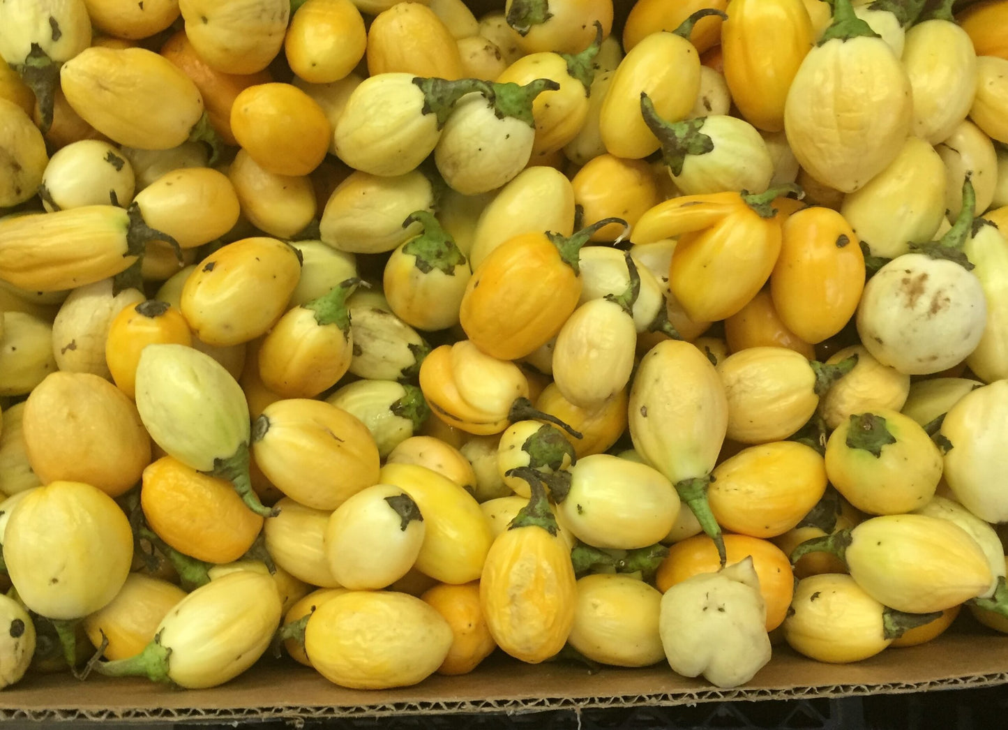Fresh Garden Eggs 1KG