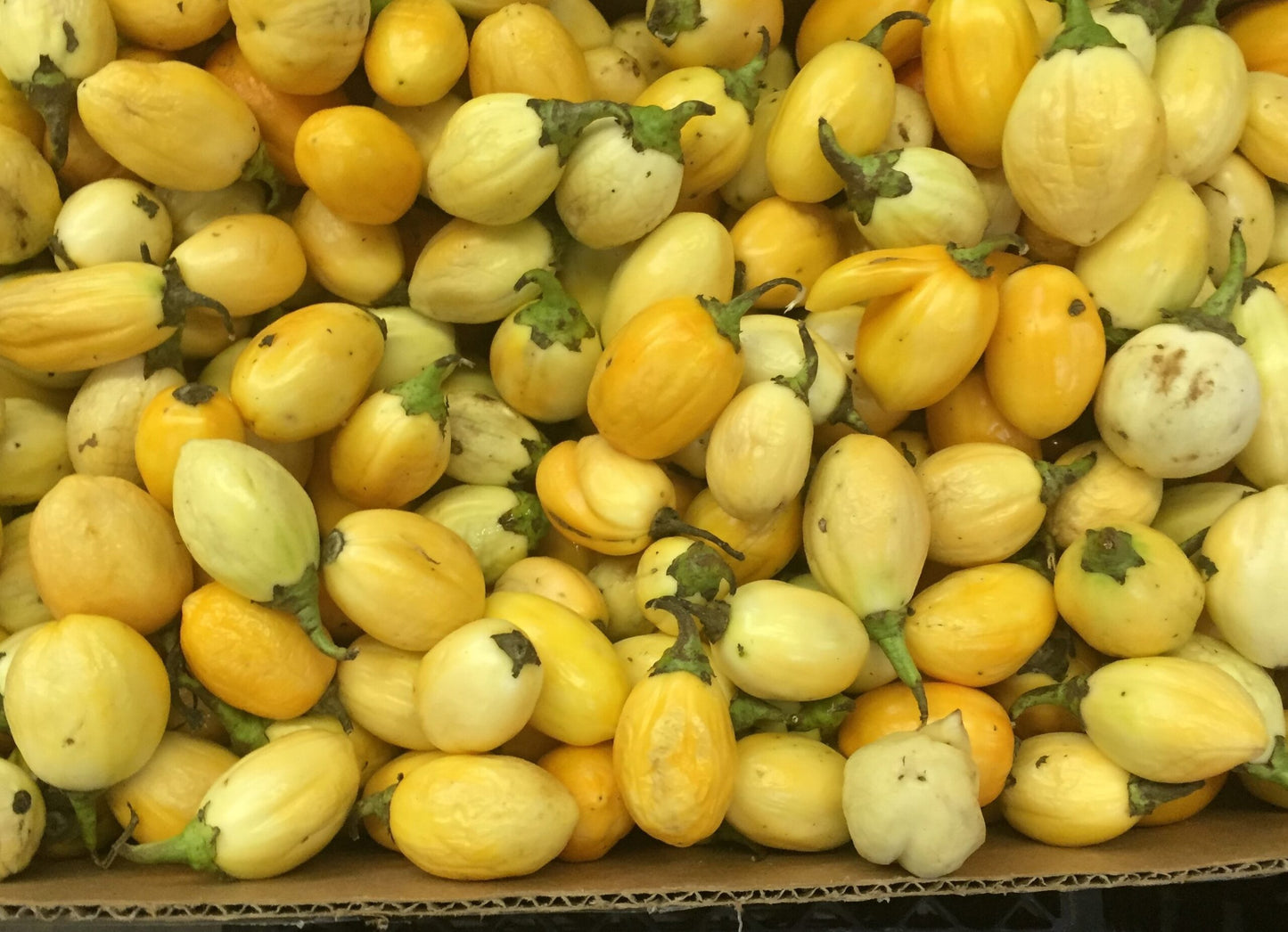 Fresh Garden Eggs (Small)