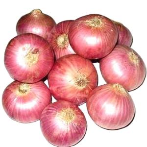 MASFresh Red Onions Pack-Fd