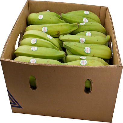 MASGreen Plantain Half Box-Food