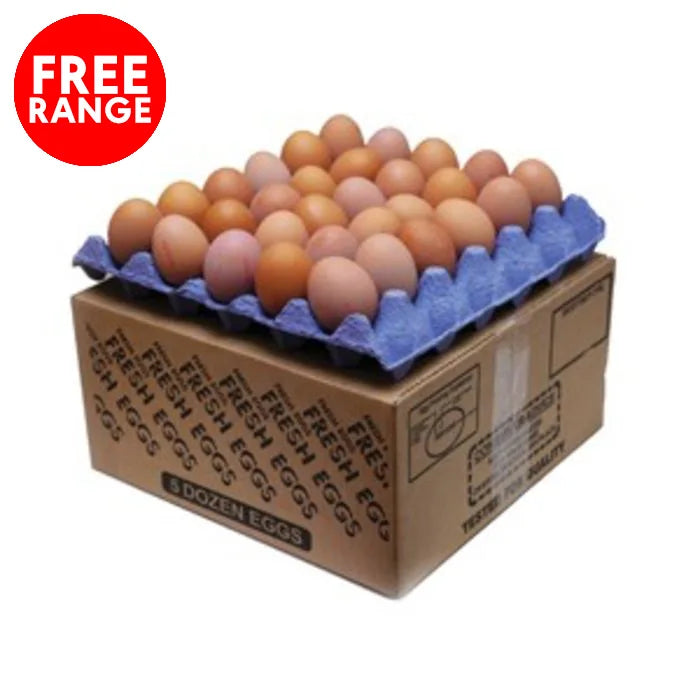 MASFree Range Medium Eggs (Size 3) 1 x 60-Food