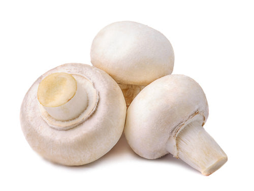 MASButton Mushroom-Fd
