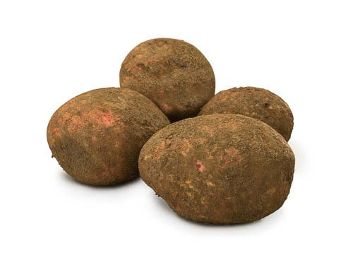 MASCara Potatoes-Fd