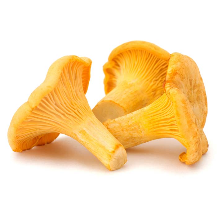 Girolles Mushrooms Usa
