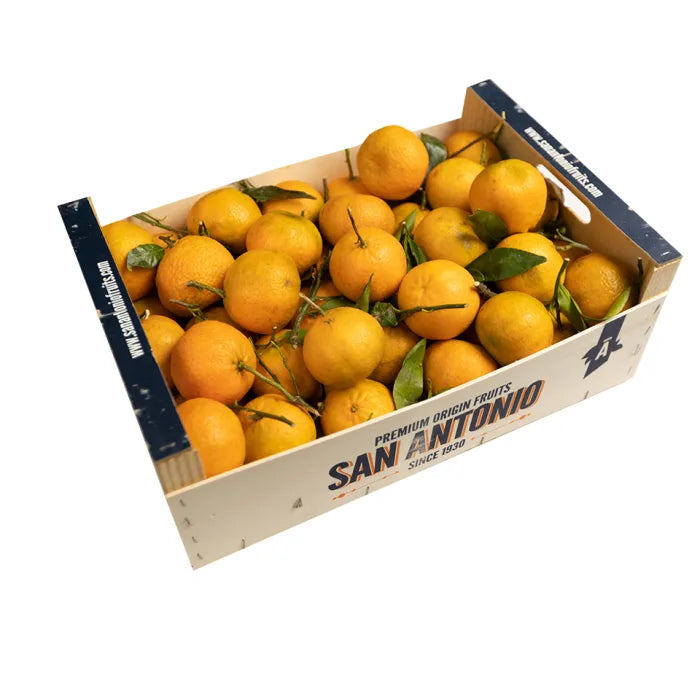 MASFresh Clementines (Easy Peeler)-1x10kg-Food