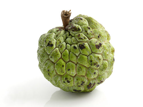 MASCustard Apple-Fd