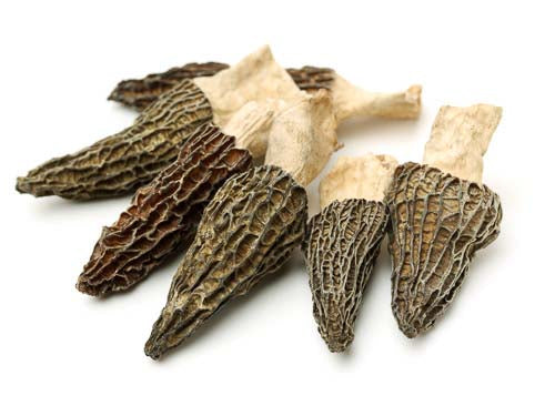 Dried Morel Mushrooms