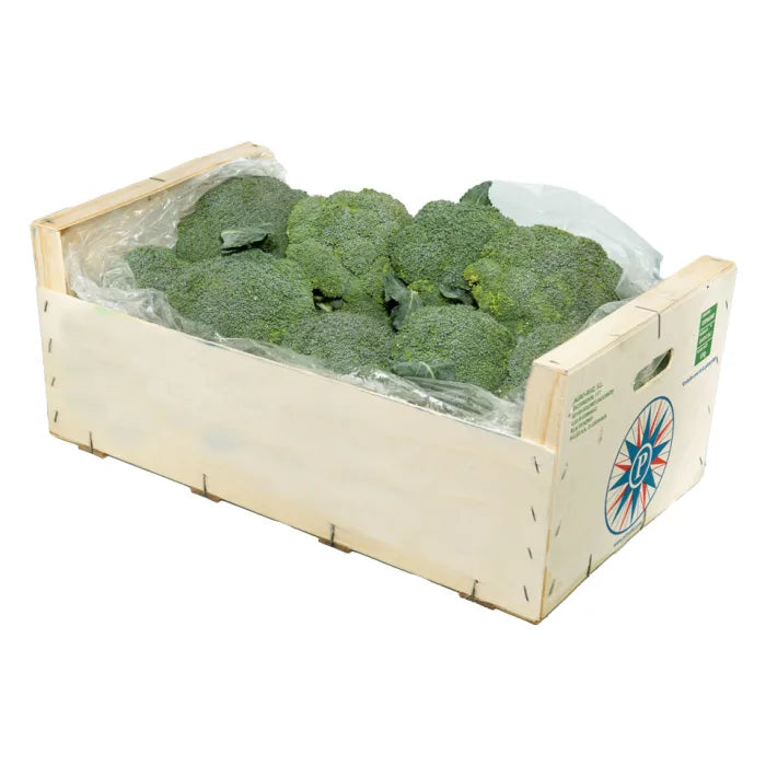 MASFresh Broccoli-1x(8-10)-Food