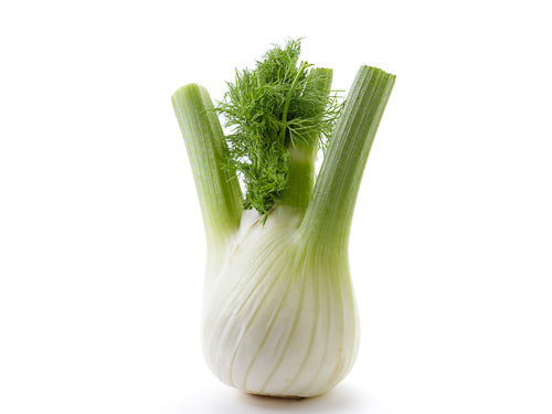 Fennel