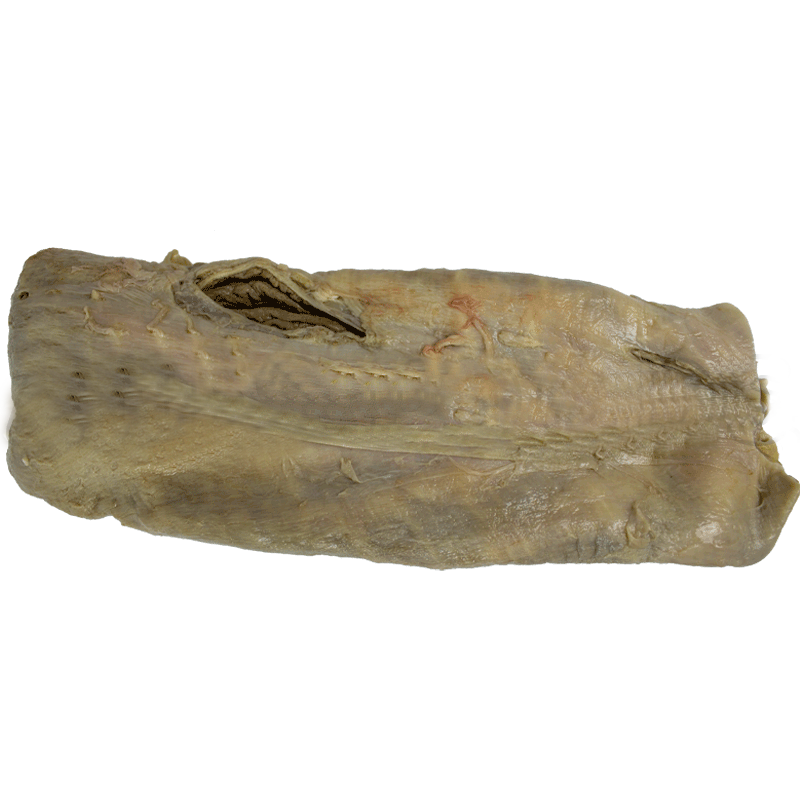Fresh Beef Reed (per Kg)