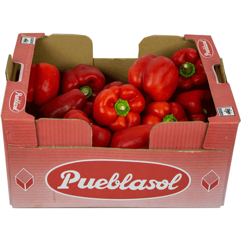 Fresh Red Pepper Box