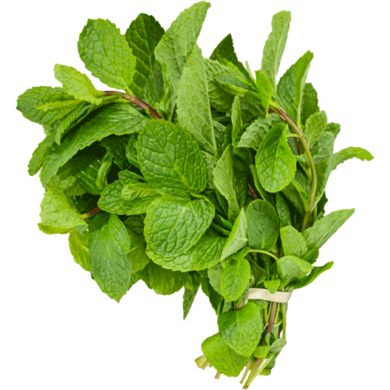 MASFresh Scent Leaf Bunch-Fd
