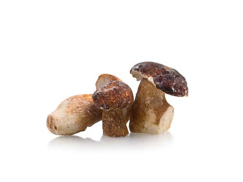 Frozen Cepes Mushrooms
