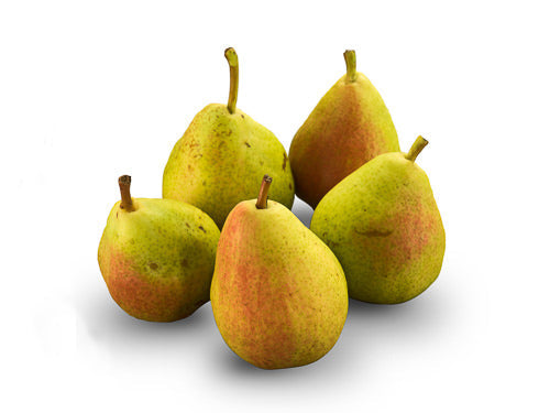 MASGuyot Pear-Fd