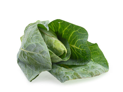 Hispi Cabbage