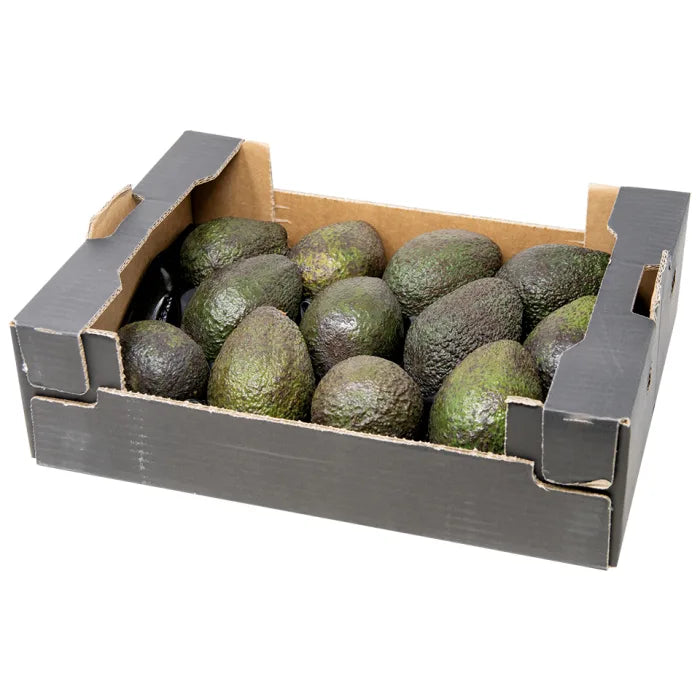 MASFresh Avocados-1x(14-18)-Food