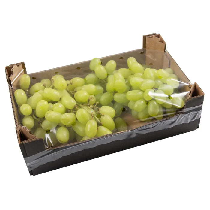 MASGreen Seedless Grapes-1x1kg-Food