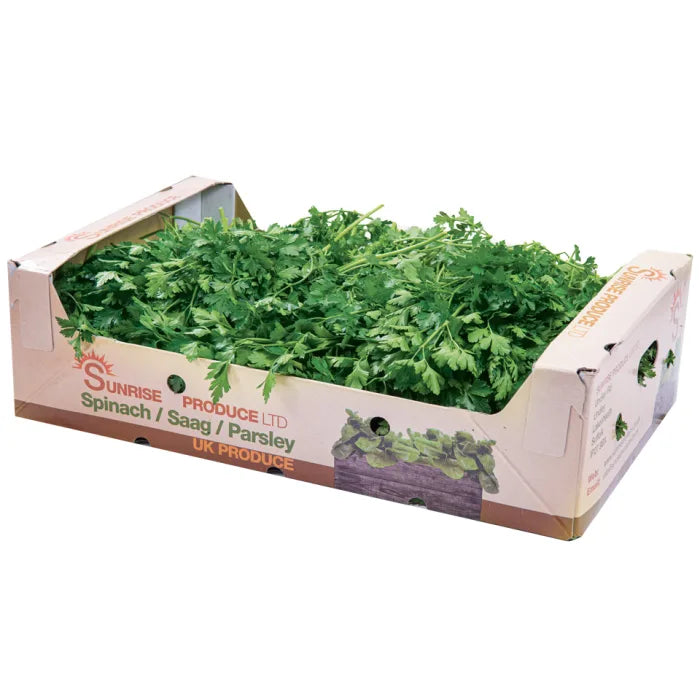 MASFresh Coriander-1x20 Bunches-Food