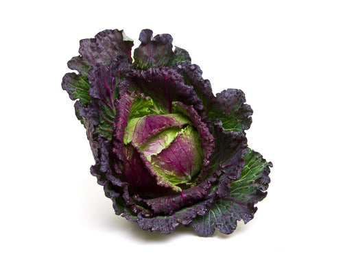 January King Cabbage