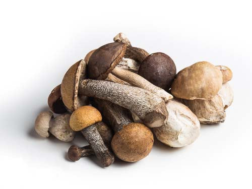 Mixed Wild French Mushroom