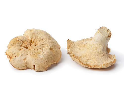 Pied De Mouton Mushrooms