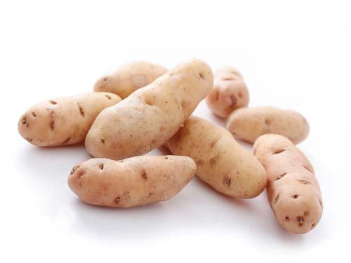 Pink Fir Apple Potatoes