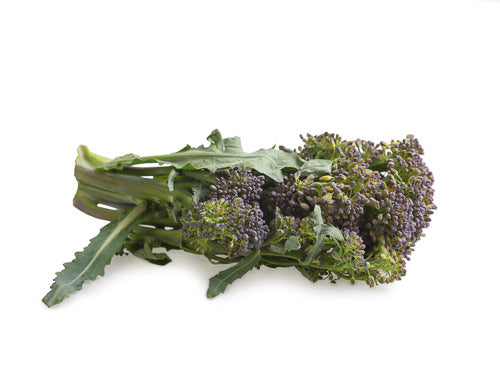 MASPurple Tenderstem Broccoli-Fd