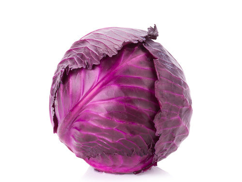 Red Cabbage