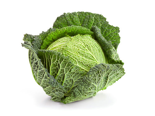 Savoy Cabbage