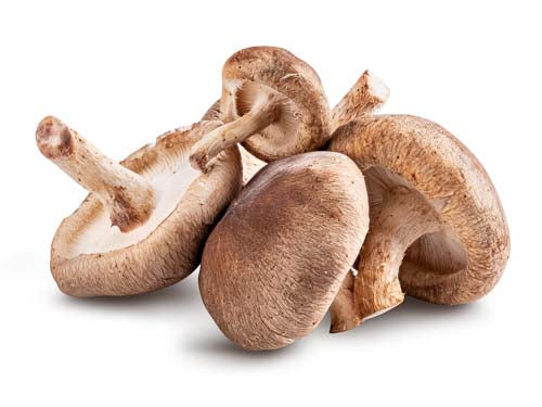 MASShitake Mushrooms-Fd