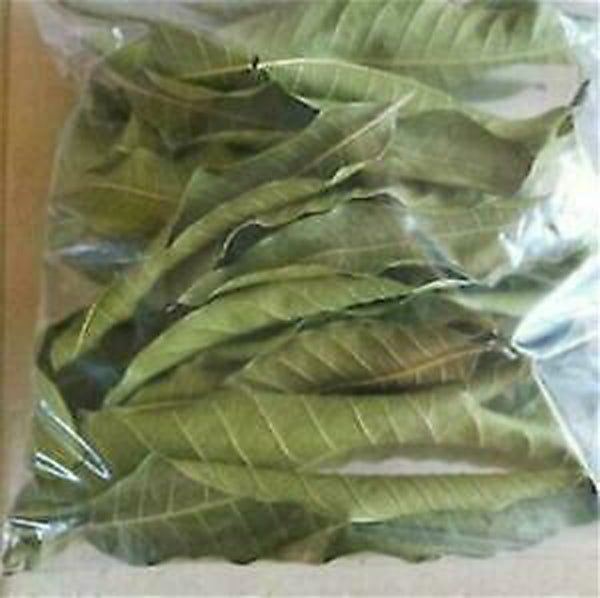 Wild Harvested Jamaican Mango Leaves 50g bags-Fd