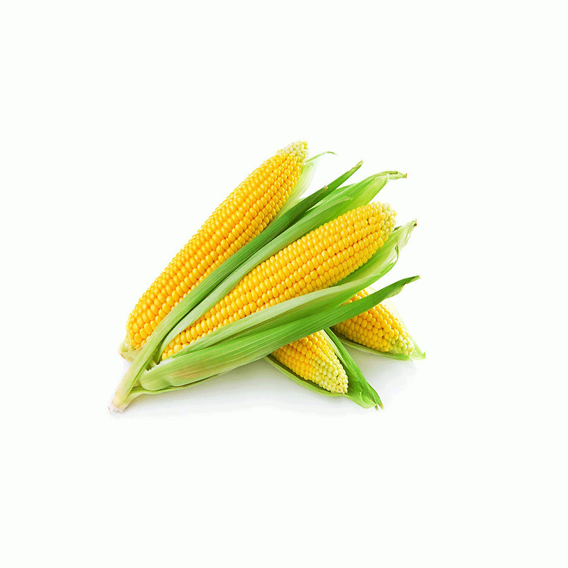 Fresh Sweet Corn Box x 30packs