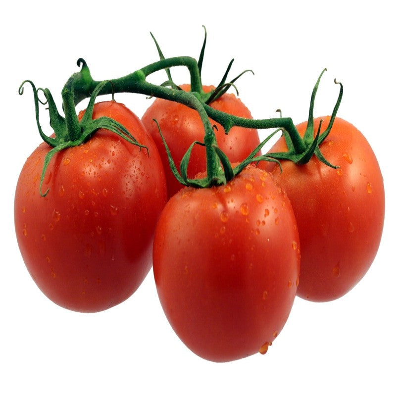 MASFresh Vine Tomatoes-Fd