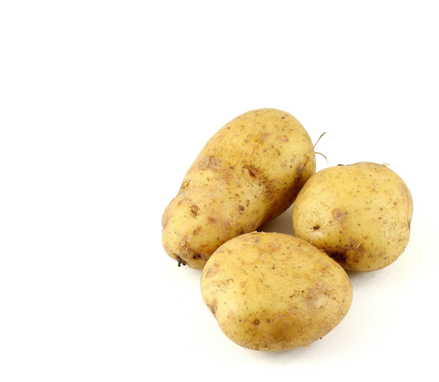 MASBard Potatoes-Fd