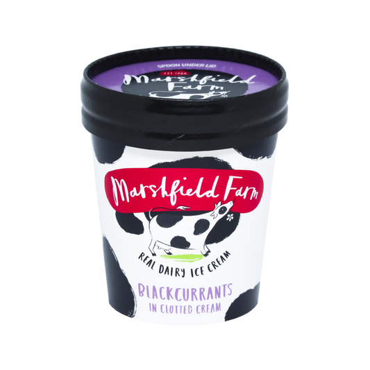 Marshfield Blackcurrant in Clotted Cream Cups 12x125ml