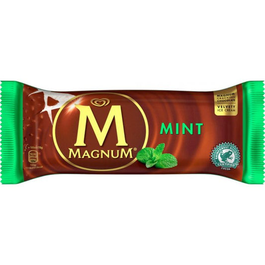 Wall Magnum Mint  20x100ml