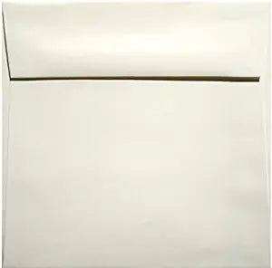 Envelopes White Window    6x6's