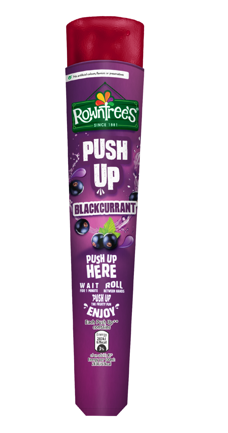 Rowntrees Blackcurrant Push Up 24x100ml